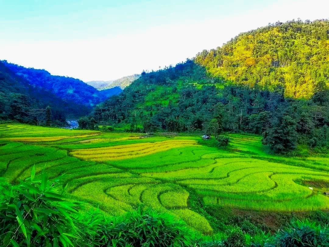 Local farmland and village landscape around Dovan in Kalimpong
