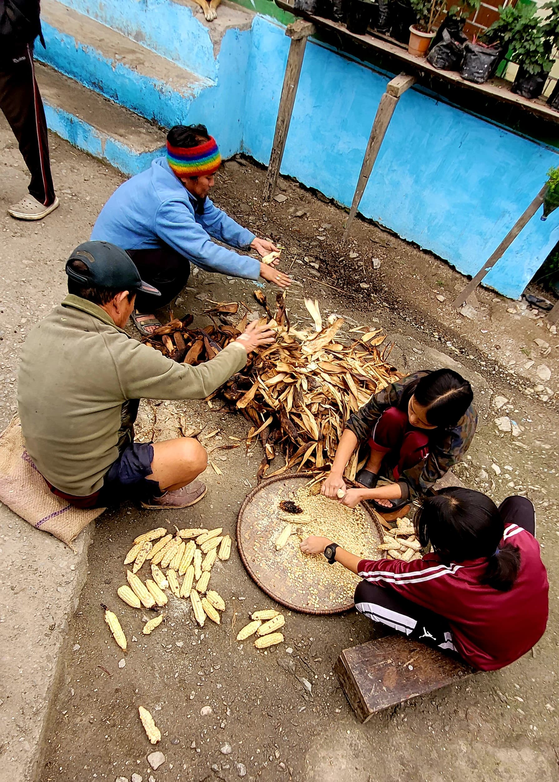 Community